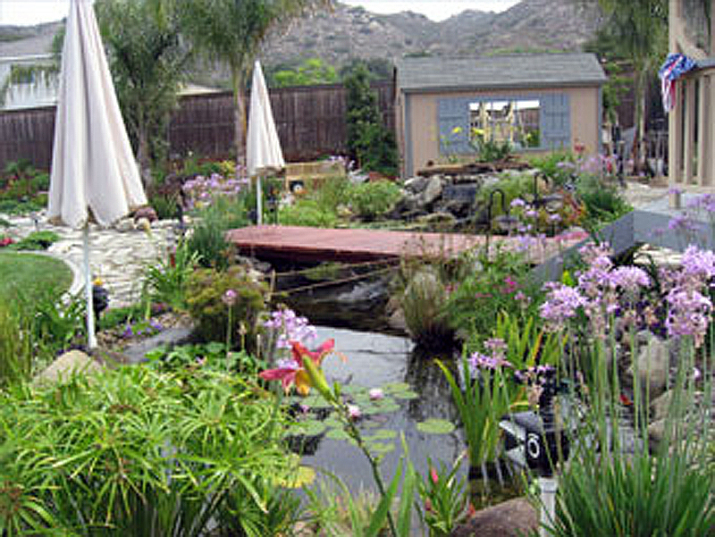 fish pond with bridge and plantlife