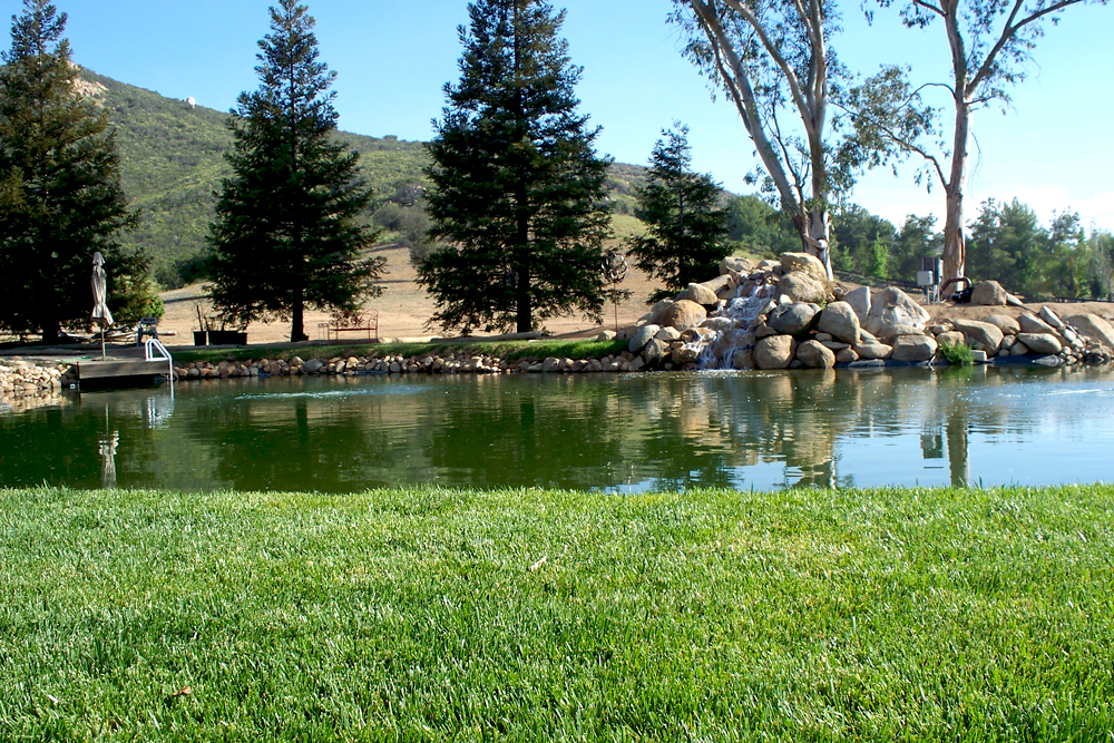 large pond, fountain, rock and trees